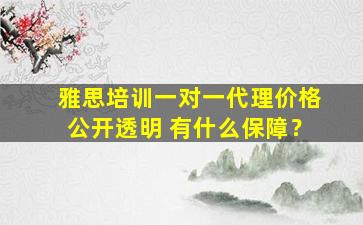 雅思培训一对一代理价格公开透明 有什么保障？